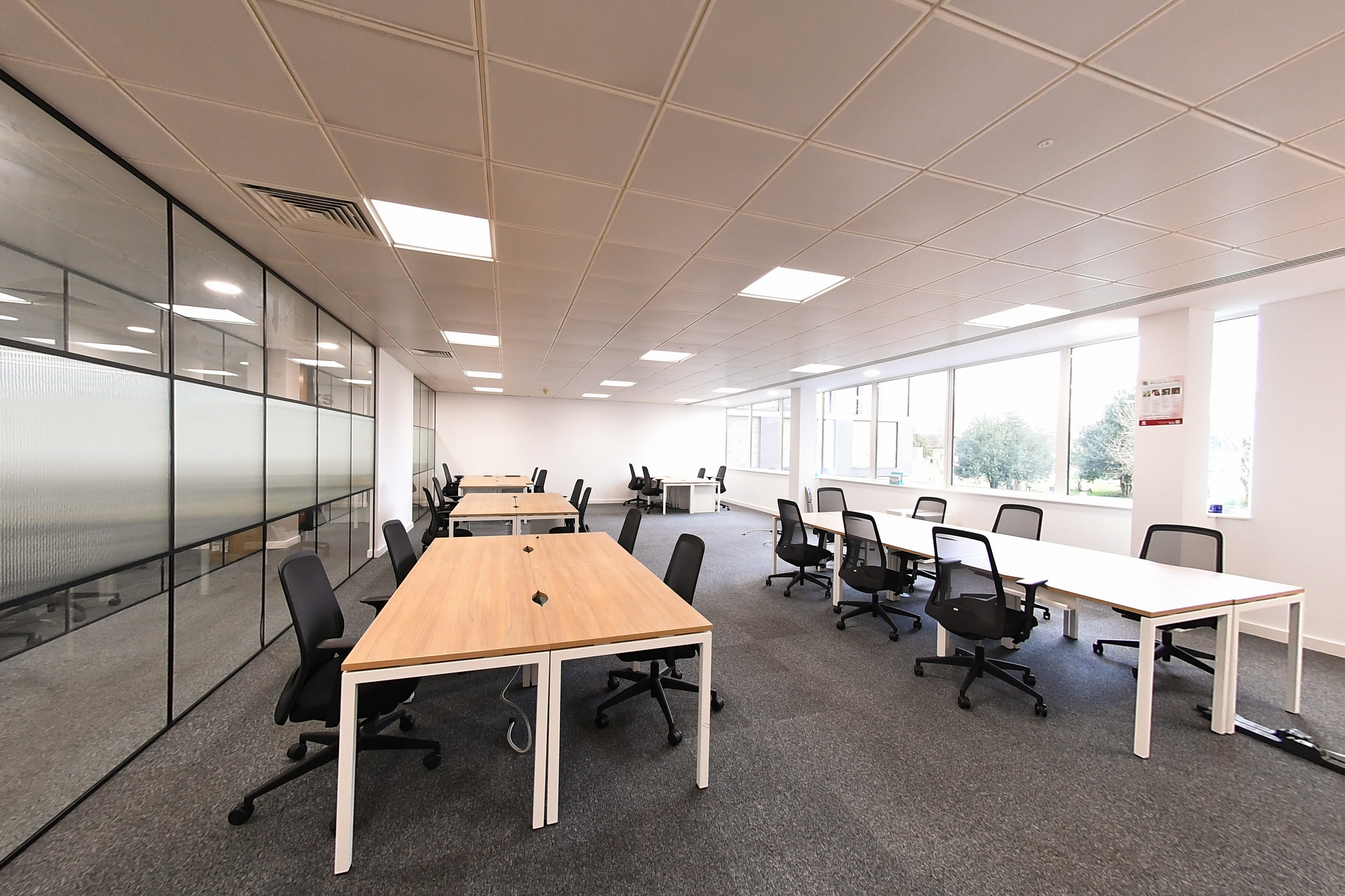 Your Professional Santuary